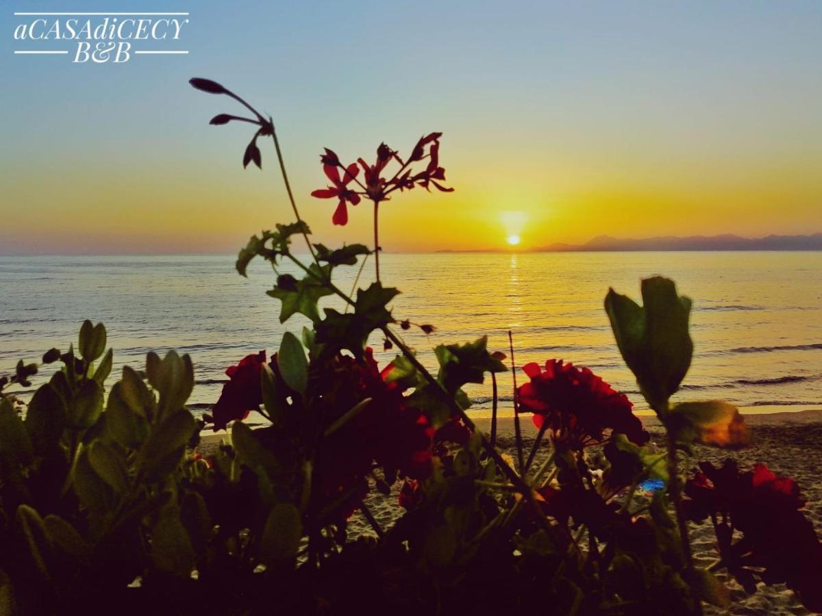 Bed & Breakfast A Casa Di Cecy Agropoli